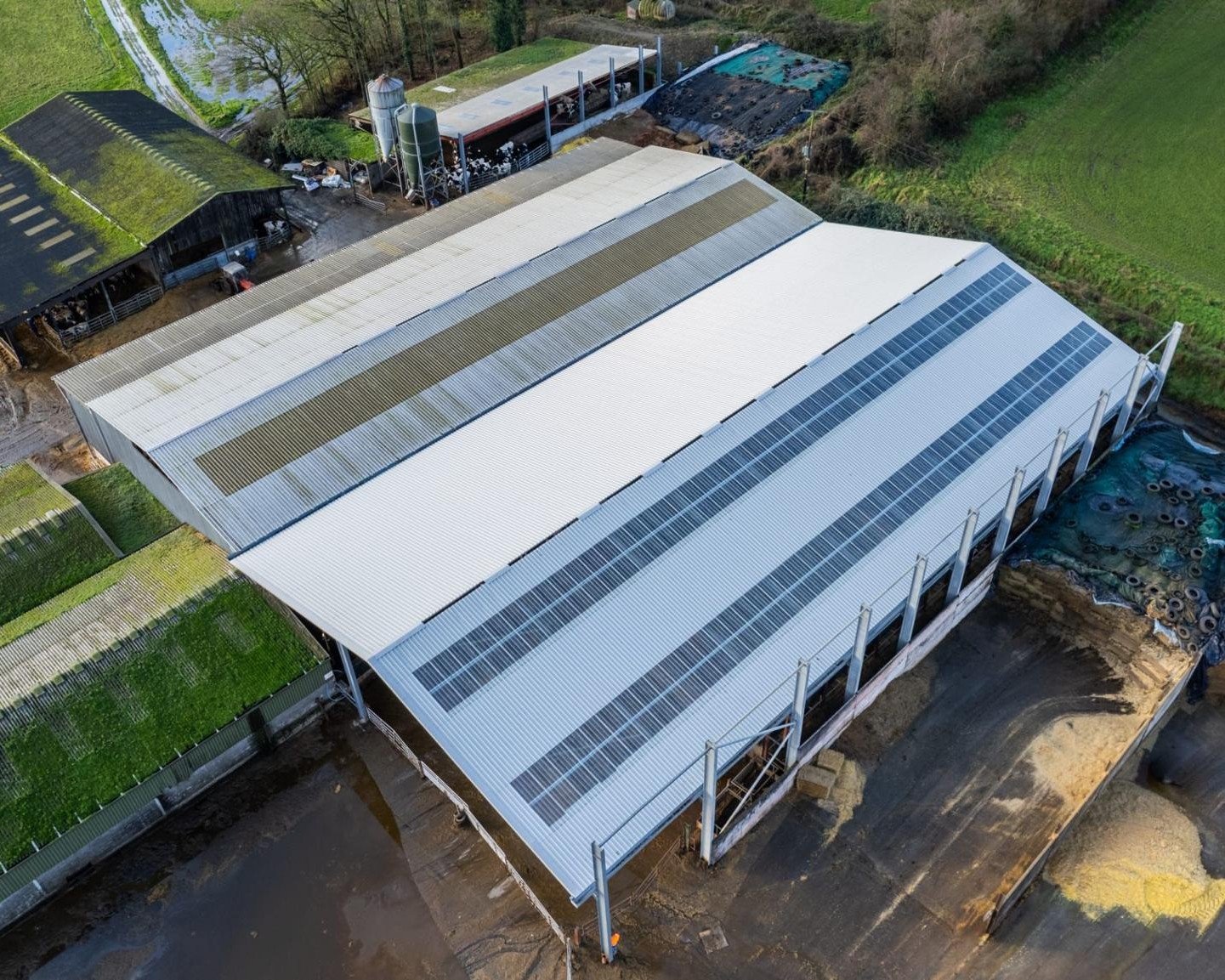 WhatsApp Image 2026-02-26 kat 11.03.18